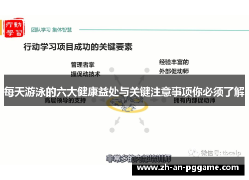 每天游泳的六大健康益处与关键注意事项你必须了解