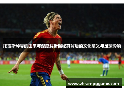 托雷斯绰号的由来与深度解析揭秘其背后的文化意义与足球影响 托雷斯绰号的由来与深度解析揭秘其背后的文化意义与足球影响